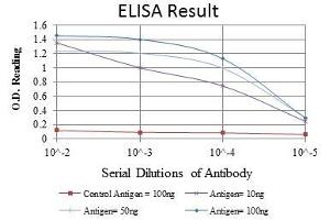 ELISA image for anti-Prohibitin (PHB) antibody (ABIN969353)