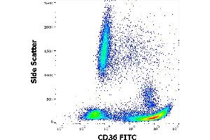 Flow cytometry surface staining pattern of human peripheral whole blood stained using anti-human CD36 (TR9) FITC antibody (20 μL reagent / 100 μL of peripheral whole blood). (CD36 anticorps  (FITC))