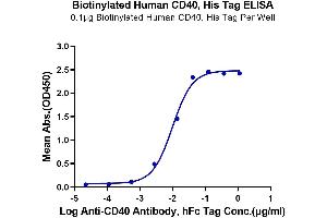 ELISA image for CD40 (CD40) (AA 21-193) protein (His-Avi Tag,Biotin) (ABIN7274186)