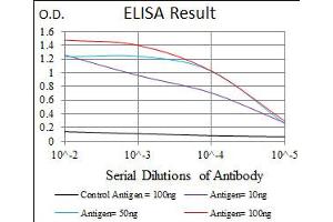 Image no. 4 for anti-delta-Like 4 (DLL4) antibody (ABIN1497856) (DLL4 anticorps)