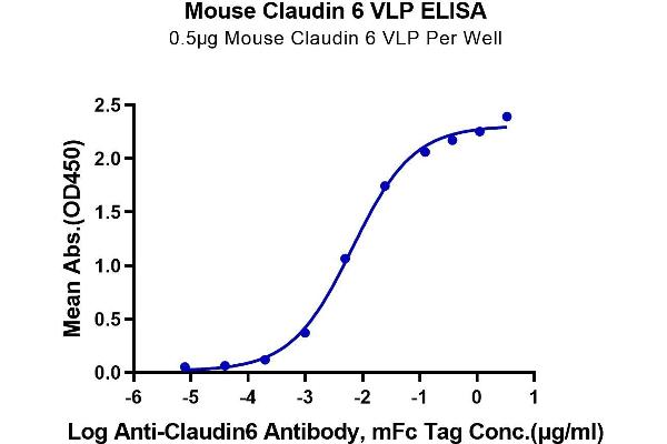 Claudin 6 Protein-VLP (CLDN6) (AA 1-219)
