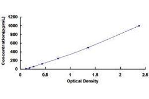 ELISA image for Renin (REN) ELISA Kit (ABIN416012) (Renin Kit ELISA)