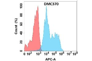 Flow cytometry analysis with Anti-AD on Expi293 cells transfected with human AD (Blue histogram) or Expi293 transfected with irrelevant protein (Red histogram). (ADGRE2 anticorps)