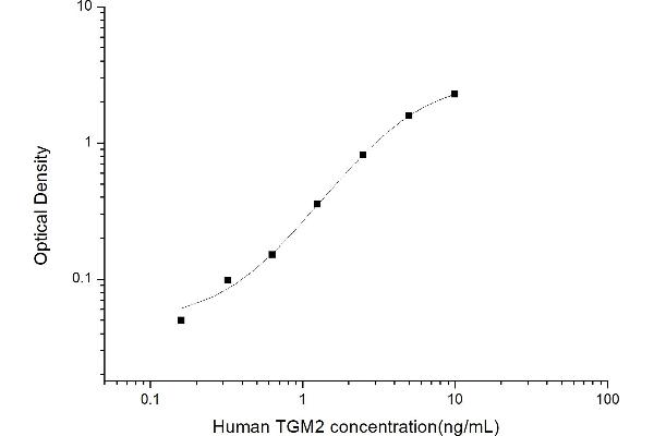 Transglutaminase 2 Kit ELISA