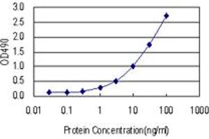 Sandwich ELISA detection sensitivity ranging from 0. (ATF1 (Humain) Matched Antibody Pair)