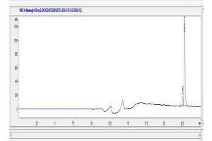 Image no. 1 for Gelsolin (GSN) (AA 655-666) peptide (Ovalbumin) (ABIN5666192) (Gelsolin (GSN) (AA 655-666) peptide (Ovalbumin))