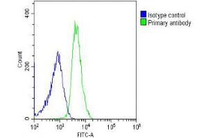 Overlay histogram showing U-2OS cells stained with Antibody (green line). (RPL14 anticorps  (AA 117-147))