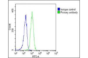 Flow Cytometry (FACS) image for anti-SREBF chaperone (SCAP) (AA 604-632) antibody (ABIN652508)