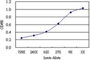 Sandwich ELISA detection sensitivity ranging from approximately 81x to 3x dilution of the PDLIM1 293T overexpression lysate (non-denatured). (PDLIM1 (Humain) Matched Antibody Pair)