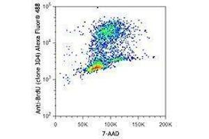 Flow Cytometry (FACS) image for anti-Bromodeoxyuridine (BrdU) antibody (Alexa Fluor 488) (ABIN2657054) (BrdU anticorps  (Alexa Fluor 488))