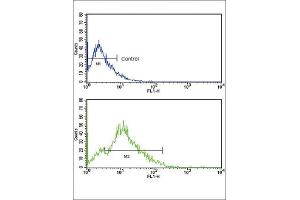 Flow Cytometry (FACS) image for anti-CD3g Molecule, gamma (CD3-TCR Complex) (CD3G) antibody (ABIN2998378) (CD3G anticorps)