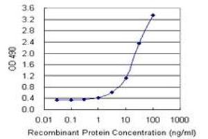 Sandwich ELISA detection sensitivity ranging from 1 ng/mL to 100 ng/mL. (CEACAM1 (Humain) Matched Antibody Pair)