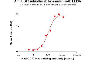 ELISA plate pre-coated by 2 μg/mL (100 μL/well) Human CD73 Protein, hFc Tag (ABIN6964149, ABIN7042505 and ABIN7042506) can bind Anti-CD73 Neutralizing antibody (ABIN7478021 and ABIN7490975) in a linear range of 3. (Recombinant CD73 (Uliledlimab Biosimilar) anticorps)