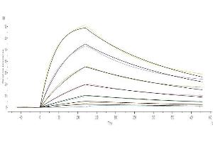 Surface Plasmon Resonance (SPR) image for Angiotensin I Converting Enzyme 2 (ACE2) protein (His tag,AVI tag,Biotin) (ABIN6952431)