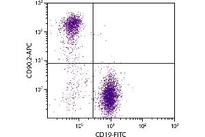 BALB/c mouse splenocytes were stained with Rat Anti-Mouse CD90. (CD90.2 / Thy-1.2 anticorps  (Biotin))