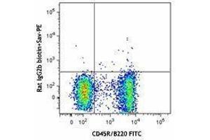 Flow Cytometry (FACS) image for anti-Chemokine (C-X-C Motif) Receptor 5 (CXCR5) antibody (Biotin) (ABIN2660751) (CXCR5 anticorps  (Biotin))