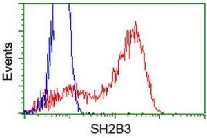 Flow Cytometry (FACS) image for anti-SH2B Adaptor Protein 3 (SH2B3) antibody (ABIN1500907) (SH2B3 anticorps)