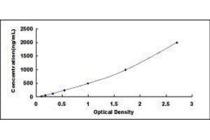 ELISA image for Haptoglobin (HP) ELISA Kit (ABIN424091) (Haptoglobin Kit ELISA)