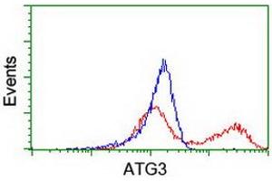 Flow Cytometry (FACS) image for anti-ATG3 Autophagy Related 3 (ATG3) antibody (ABIN1496763) (ATG3 anticorps)