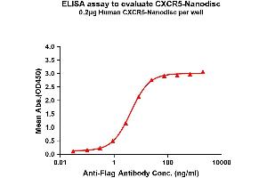 Elisa plates were pre-coated with Flag Tag C-Nanodisc (0. (CXCR5 Protéine)