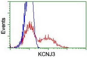 Flow Cytometry (FACS) image for anti-Potassium Inwardly-Rectifying Channel, Subfamily J, Member 3 (KCNJ3) (AA 279-501) antibody (ABIN1491313) (KCNJ3 anticorps  (AA 279-501))
