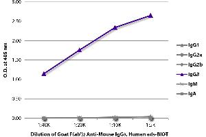 ELISA plate was coated with purified mouse IgG1, IgG2a, IgG2b, IgG3, IgM, and IgA. (Chèvre anti-Souris IgG3 Anticorps (Biotin) - Preadsorbed)