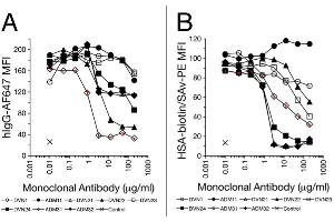 Flow Cytometry (FACS) image for anti-IgG receptor FcRn (FcRn) antibody (ABIN1774762)