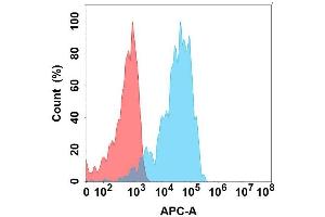 Flow cytometry analysis with Anti-AP on Expi293 cells transfected with human AP (Blue histogram) or Expi293 transfected with irrelevant protein (Red histogram). (APCDD1 anticorps)