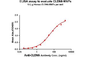 Elisa plates were pre-coated with 0. (Claudin 6 Protein (CLDN6))