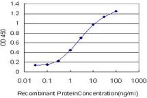 ELISA image for anti-SMAD, Mothers Against DPP Homolog 2 (SMAD2) (AA 181-280) antibody (ABIN517619)