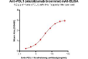 ELISA plate pre-coated by 2 μg/mL (100 μL/well) Human , mFc-His tagged protein ABIN6961096, ABIN7042221 and ABIN7042222 can bind Anti- Neutralizing antibody in a linear range of 0. (Recombinant CD274 (Atezolizumab Biosimilar) anticorps)