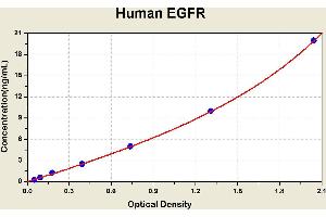 Diagramm of the ELISA kit to detect Human EGFRwith the optical density on the x-axis and the concentration on the y-axis. (EGFR Kit ELISA)