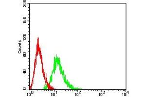 Flow cytometric analysis of HL-60 cells using CD49E mouse mAb (green) and negative control (red). (ITGA5 anticorps  (AA 111-253))