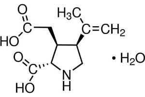 Chemical structure of Kainic acid , a Neuro-excitant/ Kainate agonist. (Kainic acid)