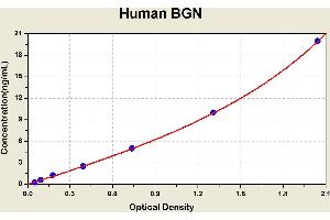 Diagramm of the ELISA kit to detect Human BGNwith the optical density on the x-axis and the concentration on the y-axis. (Biglycan Kit ELISA)