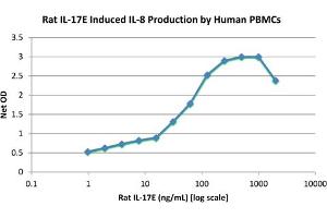 SDS-PAGE of Rat Interleukin-17E (IL-25) Recombinant Protein Bioactivity of Rat Interleukin-17E (IL-25) Recombinant Protein. (IL-25 Protéine)