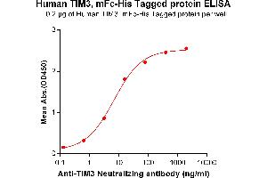 ELISA plate pre-coated by 2 μg/mL (100 μL/well) Human , mFc-His tagged protein (ABIN6961103, ABIN7042235 and ABIN7042236) can bind Anti- Neutralizing antibody ([getskuurl sku