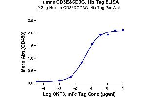 ELISA image for CD3E & CD3G protein (His tag) (ABIN7274144)