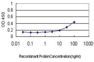 ELISA image for anti-Ribosomal Protein L19 (RPL19) (AA 1-100) antibody (ABIN562698)