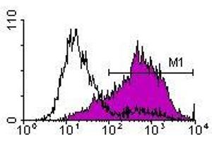 Image no. 1 for anti-Interleukin 2 Receptor, alpha (IL2RA) antibody (FITC) (ABIN135172) (CD25 anticorps  (FITC))