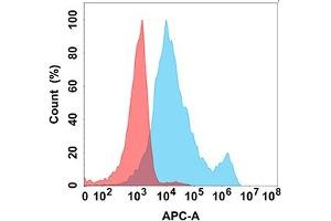 Flow cytometry analysis with Anti-IL-6R (DM152) on Expi293 cells transfected with human IL-6R (Blue histogram) or Expi293 transfected with irrelevant protein (Red histogram). (IL-6 Receptor anticorps  (AA 20-365))