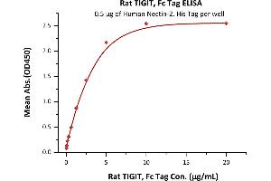 Immobilized Human Nectin-2, His Tag (ABIN4949132,ABIN4949133) at 5 μg/mL (100 μL/well) can bind Rat TIGIT, Fc Tag (ABIN4949212,ABIN4949213) with a linear range of 0. (TIGIT Protein (AA 17-138) (Fc Tag))