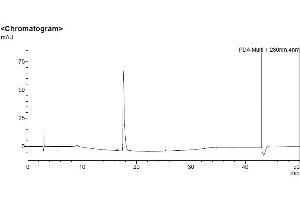 High Pressure Liquid Chromatography (HPLC) image for Human Serum Albumin (HSA) protein (ABIN7539880) (HSA Protéine)