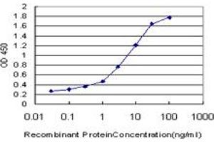 ELISA image for anti-Nucleolar and Coiled-Body Phosphoprotein 1 (NOLC1) (AA 590-700) antibody (ABIN598599) (NOLC1 anticorps  (AA 590-700))