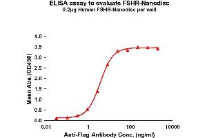 Elisa plates were pre-coated with Flag Tag FSHR-Nanodisc (0. (FSHR Protéine)