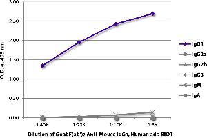 ELISA image for Goat anti-Mouse IgG1 antibody (Biotin) - Preadsorbed (ABIN375917)