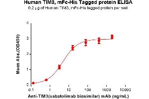ELISA plate pre-coated by 2 μg/mL (100 μL/well) Human Protein, mFc-His Tag (ABIN6961103, ABIN7042235 and ABIN7042236) can bind Anti-(sabatolimab biosimilar) mAb ((ABIN7538765)) in a linear range of 0. (TIM3 Protein (AA 22-202) (mFc-His Tag))