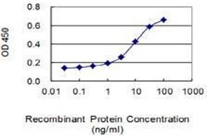 Detection limit for recombinant GST tagged BMP2K is 0. (BMP2K anticorps  (AA 540-650))