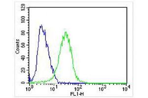 Overlay histogram showing SH-SY5Y cells stained with (ABIN652381 and ABIN2841827) (green line). (TrkA-pY791 (AA 769-796) anticorps)