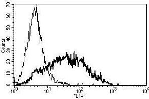 A typical staining pattern with the B-F2 monoclonal antibody of PHA activated lymphocytes (CD25 anticorps)